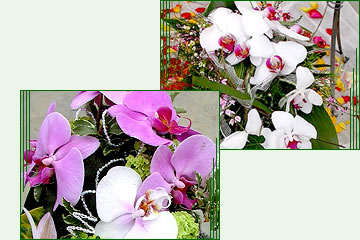 Blumenschmuck, Erntedank-Tischdekoration, Windlichtern, Fackeln, Rosenbowle