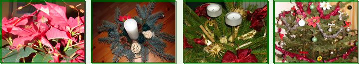 In Elsterwerda am Blumengrohandel finden Sie unseren groen Weihnachtsbaummarkt.